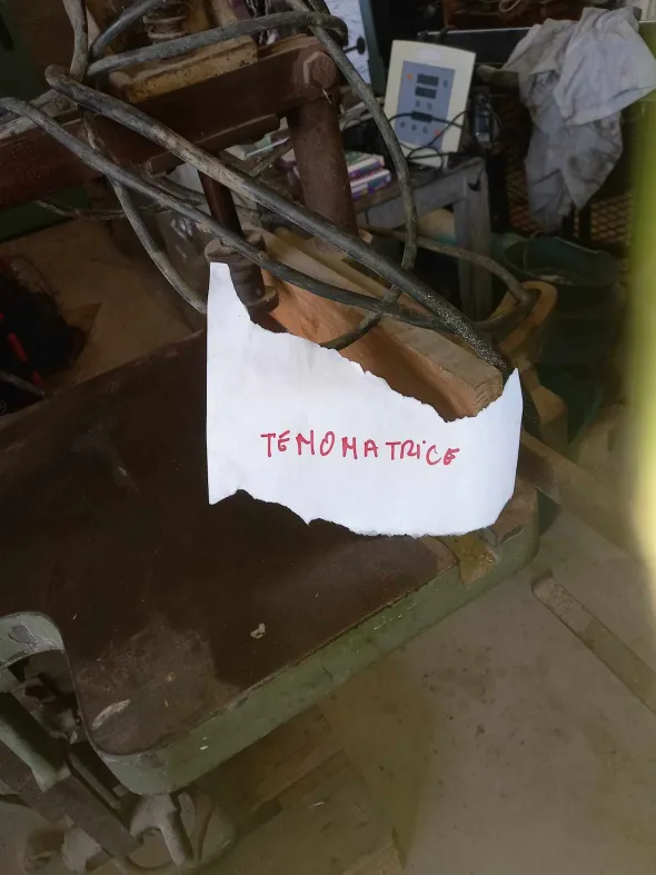 tenonatrice per legno