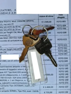 16#6960 Terna Fai 90DT e rimorchio per imbarcazione