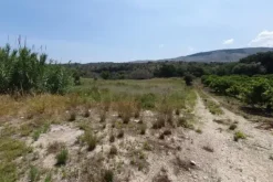 #20882 Terreni agricoli