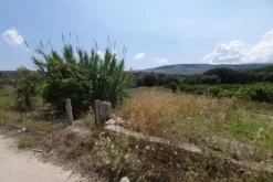 #20882 Terreni agricoli