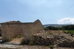 #20882 Terreni agricoli
