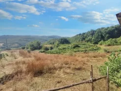 #24296 Terreni Agricoli a Todi e Baschi - Sup. Tot 16930 mq