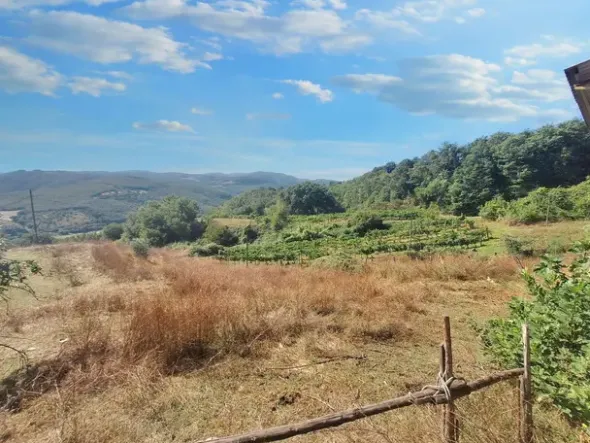 #24296 Terreni Agricoli a Todi e Baschi - Sup. Tot 16930 mq