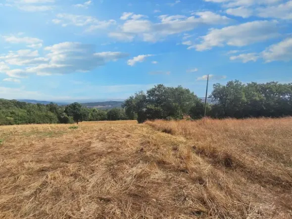 #24296 Terreni Agricoli a Todi e Baschi - Sup. Tot 16930 mq