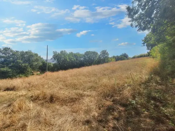 #24296 Terreni Agricoli a Todi e Baschi - Sup. Tot 16930 mq