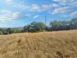 #24296 Terreni Agricoli a Todi e Baschi - Sup. Tot 16930 mq