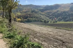 #19969 Terreni agricoli con fabbricati rurali da ristrutturare