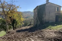 #19969 Terreni agricoli con fabbricati rurali da ristrutturare