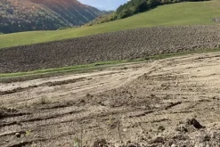 #19969 Terreni agricoli con fabbricati rurali da ristrutturare