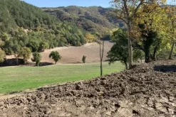 #19969 Terreni agricoli con fabbricati rurali da ristrutturare