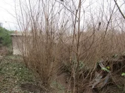 #23029 Terreni agricoli con fabbricati precari
