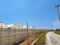 #23569 Terreni agricoli con impianti serricoli a Vittoria