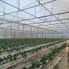#23569 Terreni agricoli con impianti serricoli a Vittoria