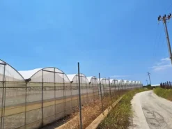 #23569 Terreni agricoli con impianti serricoli a Vittoria