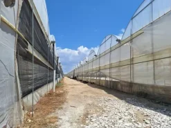#23569 Terreni agricoli con impianti serricoli a Vittoria