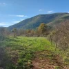 #2537440 Terreni agricoli con potenzialità turistica