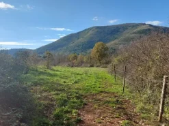 #2537440 Terreni agricoli con potenzialità turistica