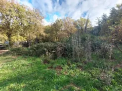 #2537440 Terreni agricoli con potenzialità turistica