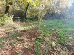 #2537440 Terreni agricoli con potenzialità turistica