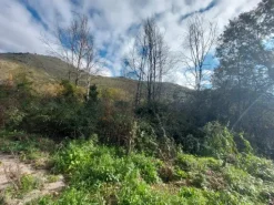 #2537440 Terreni agricoli con potenzialità turistica