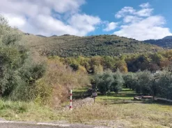 #2537440 Terreni agricoli con potenzialità turistica