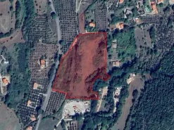 #2537440 Terreni agricoli con potenzialità turistica