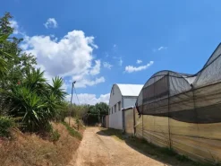 #23566 Terreni agricoli con serre e fabbricati rurali a Vittoria