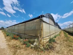 #23566 Terreni agricoli con serre e fabbricati rurali a Vittoria