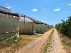 #23566 Terreni agricoli con serre e fabbricati rurali a Vittoria