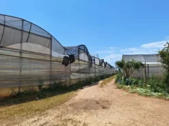 #23566 Terreni agricoli con serre e fabbricati rurali a Vittoria