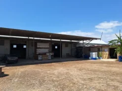 #23566 Terreni agricoli con serre e fabbricati rurali a Vittoria