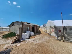 #23567 Terreni agricoli con serre e fabbricati rurali ad Acate