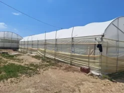 #23567 Terreni agricoli con serre e fabbricati rurali ad Acate