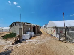 #23567 Terreni agricoli con serre e fabbricati rurali ad Acate