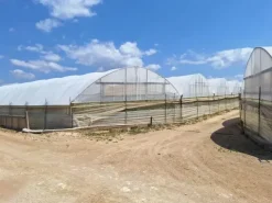 #23567 Terreni agricoli con serre e fabbricati rurali ad Acate