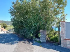 #23184 Terreni agricoli con vasca