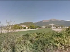 #18599 Terreni agricoli di 6.760 mq