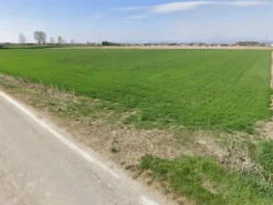 #2638748 Terreni agricoli di 29.104 mq