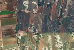 #24058 Terreni agricoli di 3.544 mq