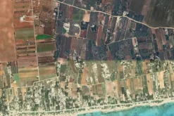 #24058 Terreni agricoli di 3.544 mq