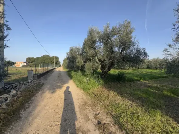 #2638900 Terreni agricoli di 4.486 mq