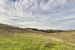#23639 Terreni agricoli di 59.995 mq