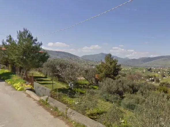 #18003 Terreni agricoli di 1.460 mq