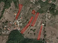 #18675 Terreni agricoli di mq 13.295
