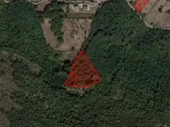 #18675 Terreni agricoli di mq 13.295