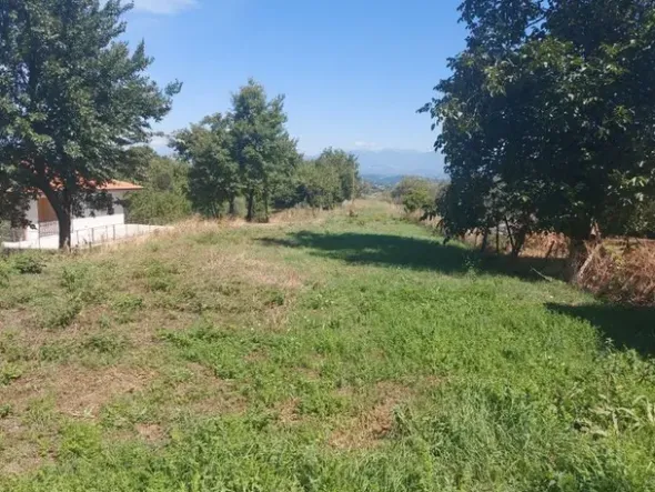 #18675 Terreni agricoli di mq 13.295