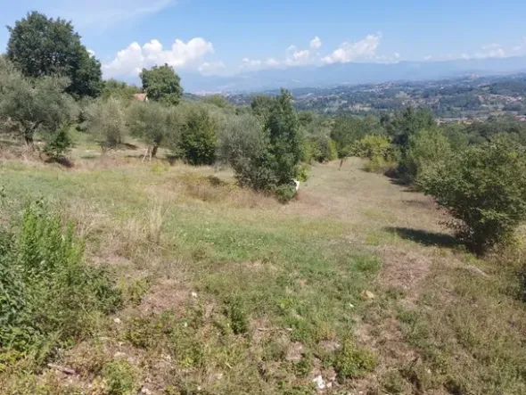 #18675 Terreni agricoli di mq 13.295