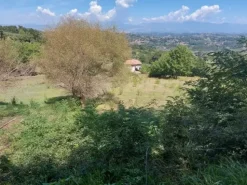 #18675 Terreni agricoli di mq 13.295