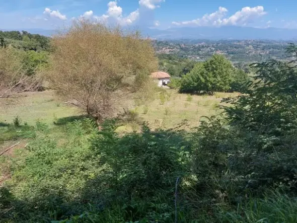 #18675 Terreni agricoli di mq 13.295