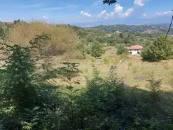 #18675 Terreni agricoli di mq 13.295